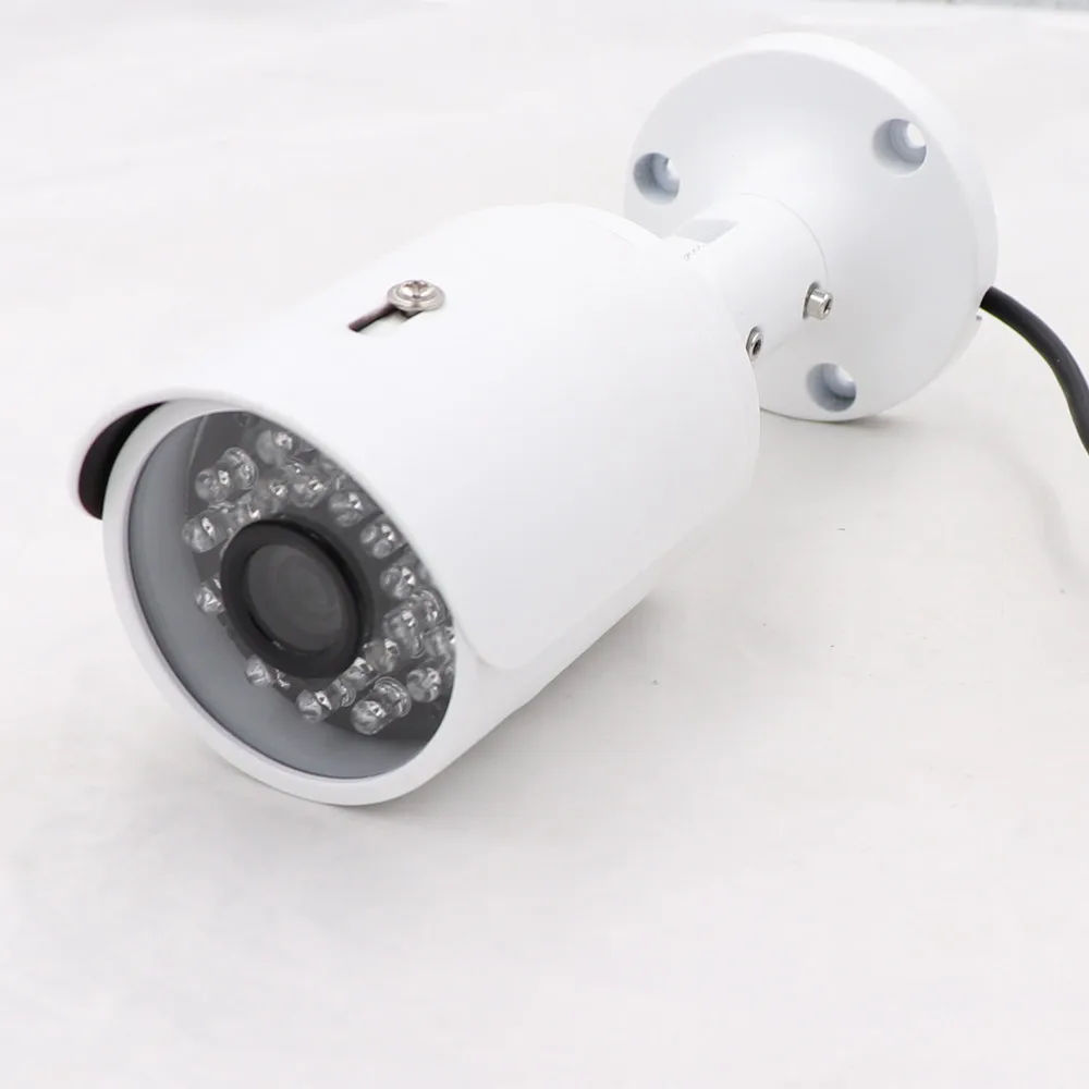 2 IMG 9584