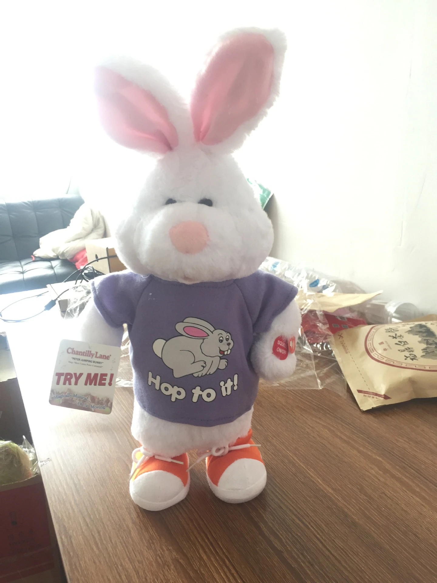 electronic bunny toy