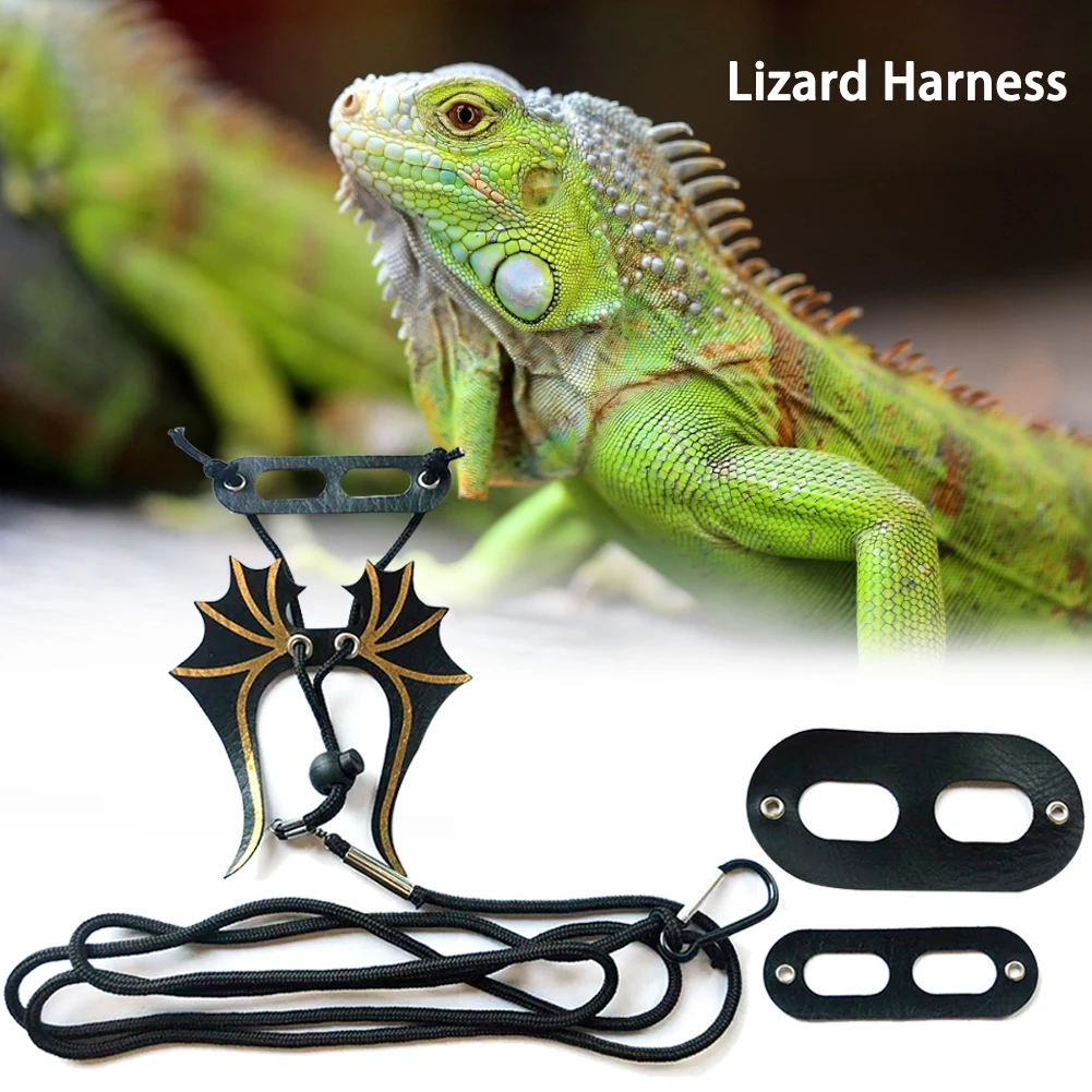 

Adjustable Lizard Leash Reptile Harness Bearded Dragon Leash Gecko Leash with Wings Small Animal Leash (S, M, L,)