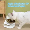 Non-Slip Double Cat Bowl Pet Water Food Feed Dog Bowls Pet Bowl With Inclination Stand Cats Feeder Feeding Bowl Kitten Supplies 2