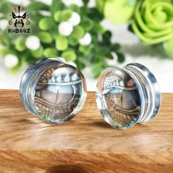 

Simple Transparent Acrylic Eye Logo Ear Tunnels Expanders Sterchers Fashion Body Gift With High Quatity Beauty Jewellery