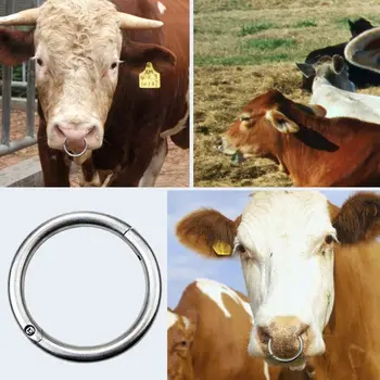 

Cattle Bull Nose Ring Cattle Cow Nose Traction Clip Farming Equipment
