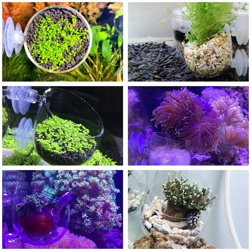 H25a0b9768ddf40e1839fc20125458e91Q.jpg?width=800&height=800&hash=1600