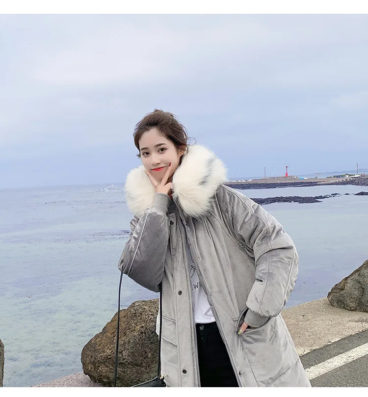  pleuche cotton2_05.jpg