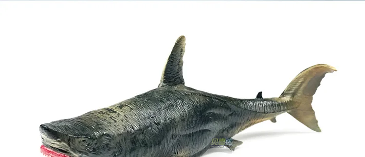 Акула Модель океанов большой маленький Zebrafish игрушка модель Акула голубая акула Megalodon мужская акула имеет акулу КИТ акула
