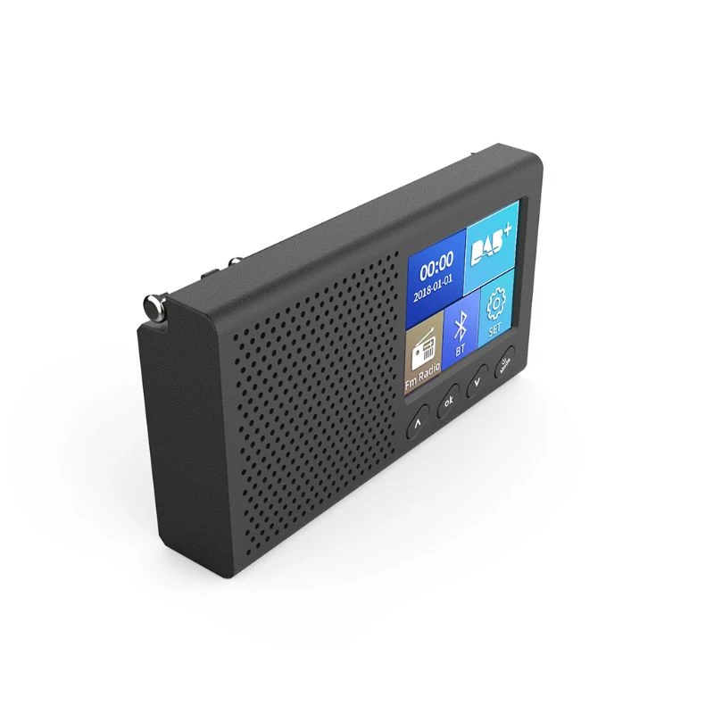 portable fm radio with bluetooth output