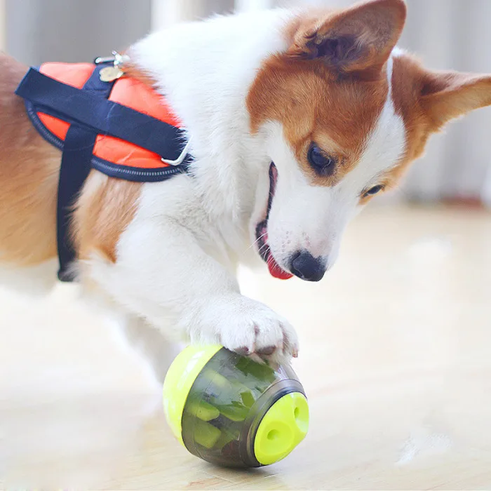 Pet Tumbler взаимодействие игрушка встряхивание еда утечка мяч еда диспенсер собака игрушка AUG889