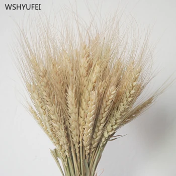 

WSHYUFEI 100pcs Dried flowers natural Air dried Wheat ears Wheat farmhouse style Home Decoration Vase decoration farmhouse