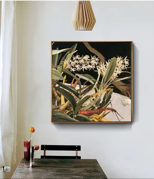 

Rock Lilies Flower Plante Poster Flower Art Vintage Decor Housewarming Gift Idea Birthday (No Frame)