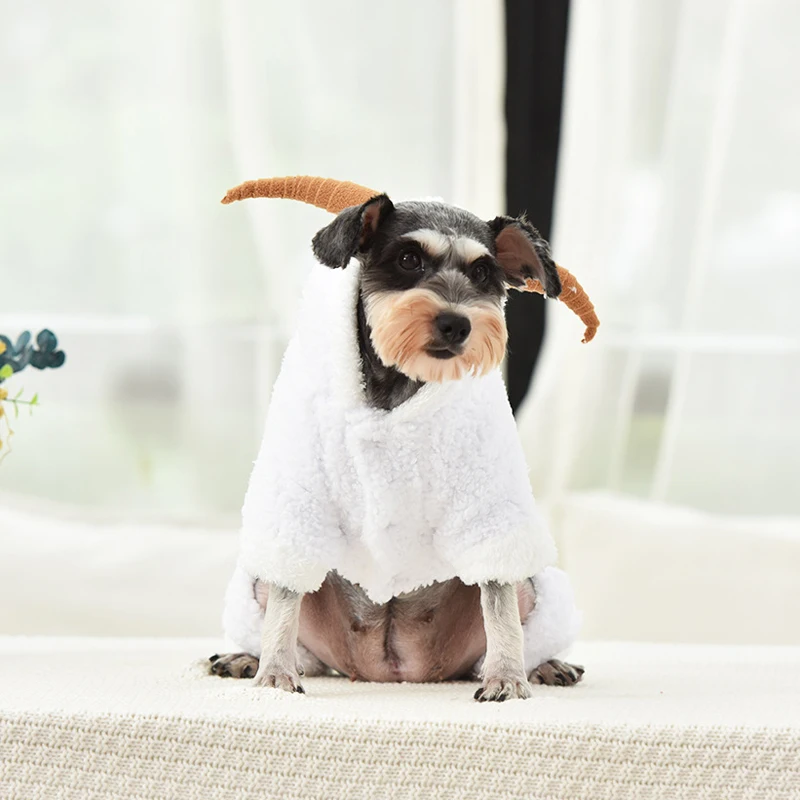 11861872673_906868034