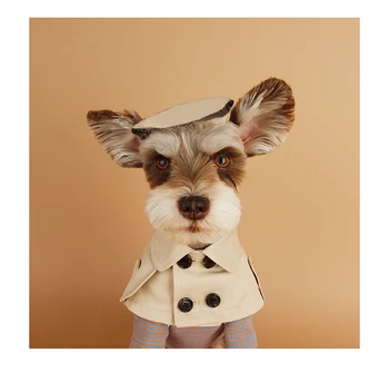 

Dog Collar Beige Pet Bandana Scarf British Style Cloak trench coat Cat Collars for Small Dog Puppy Bandage Bib Accessories