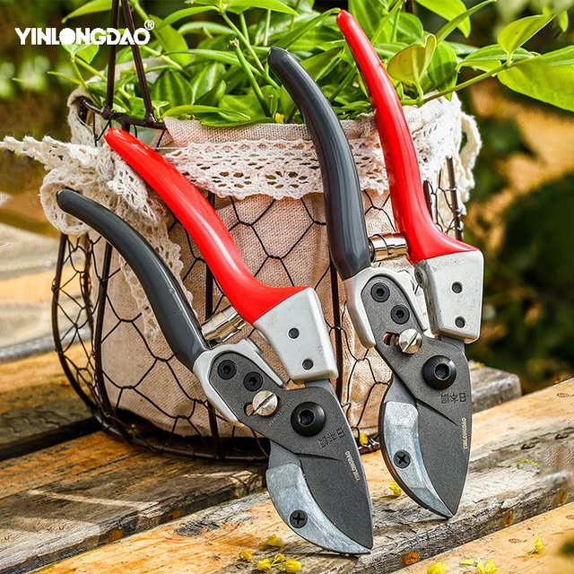 Cesoie da potatura da giardino cesoia da potatura per alberi da frutto cesoia  per fiori salvaspazio giardinaggio potatura taglio rami spessi 30mm e tubo  in PVC - AliExpress