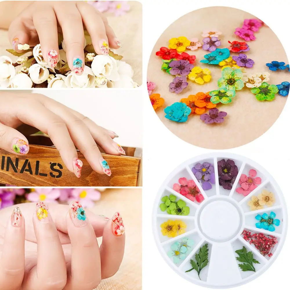 

24Pcs/Wheel Nail Art Decoration Dried Flower Sticker 3D Manicure Polish Summer Real Preserved Floral Leaf Mixed Dry Bloom Tips
