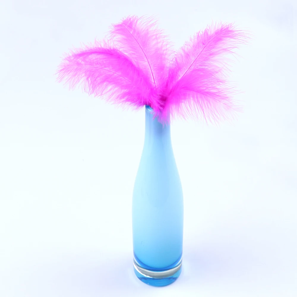HS0201004 6