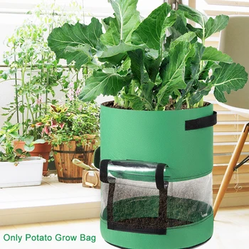 

Grow Bag With Handles Vegetables Plant Magic Sticker Window Transparent Visible Storage Container Vertical Potato Greenhouse