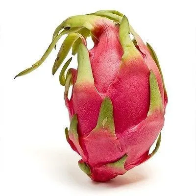 20 шт. Pitaya сад белый дракон фруктовый завод(Pitaya/Pitahaya/клубника груша) Бонсай