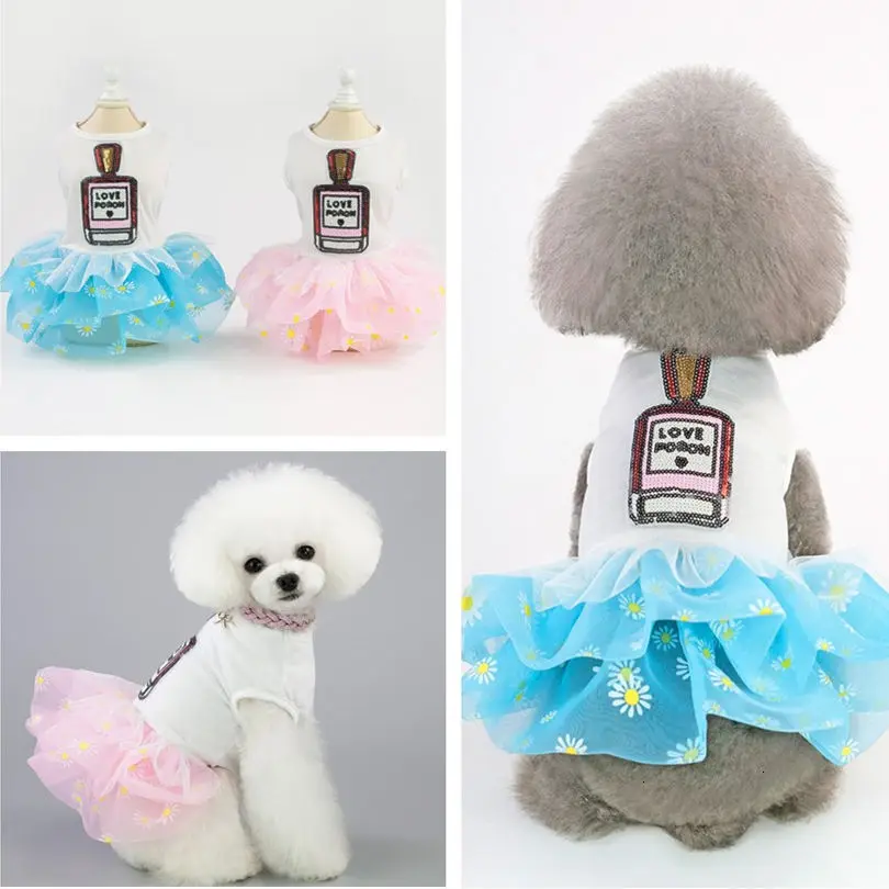 h2+Xif2nxdR3mZ48XMtiQPovh3sjcRE5FnDp