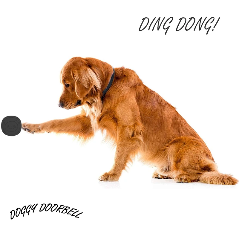 Pet Dog Doorbells Wireless Door Bell House-Training Multifunction Sensor Motion (Receiver & Transmitters) Training Tool US Plug-2