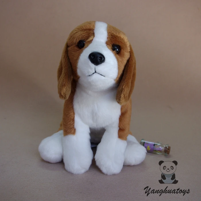 HTB1db7PXtfvK1RjSszhq6AcGFXaO