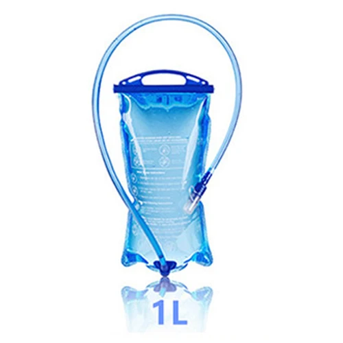 1L