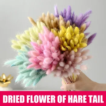 

50 Pcs 45CM Dried Flower Lagurus Ovatus Grass Decoration Photography Props For Home Store Wedding Decorative Plants BS