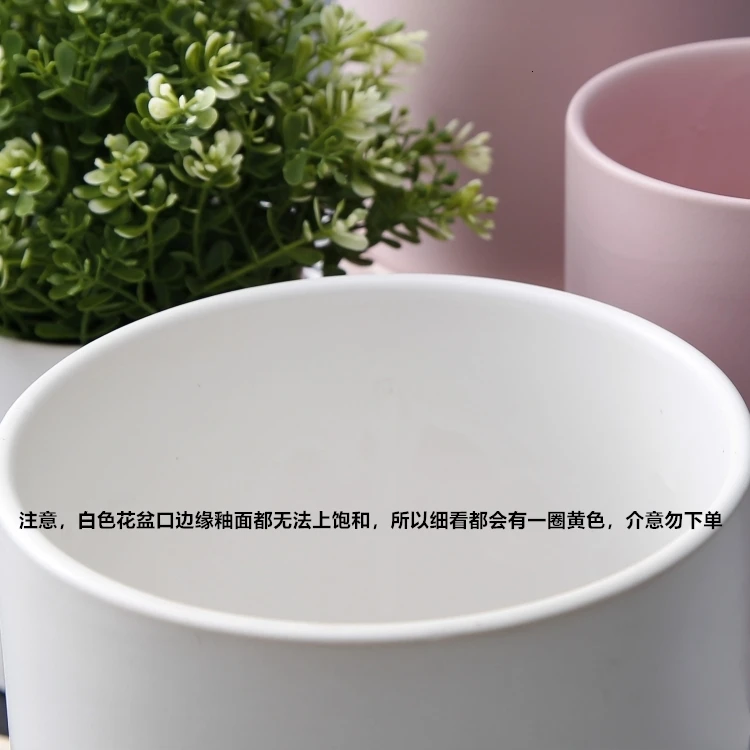 Flowerpot Ins Northern Europe Style Simplicity Cylinder Modern Black White Asia Light Band Tray Meaty Green Luo Flowerpot