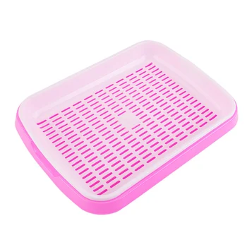 

Seed Sprouter Tray PP Plastic Soil-Free Big Capacity Wheatgrass Grass Grow Box Seedling Plant Growing Tray Succulent Holder