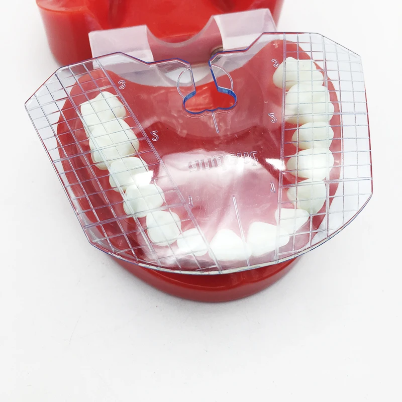 Стоматологические лабораторные инструменты Стоматологическая направляющая пластина расположение зубов на протез работы