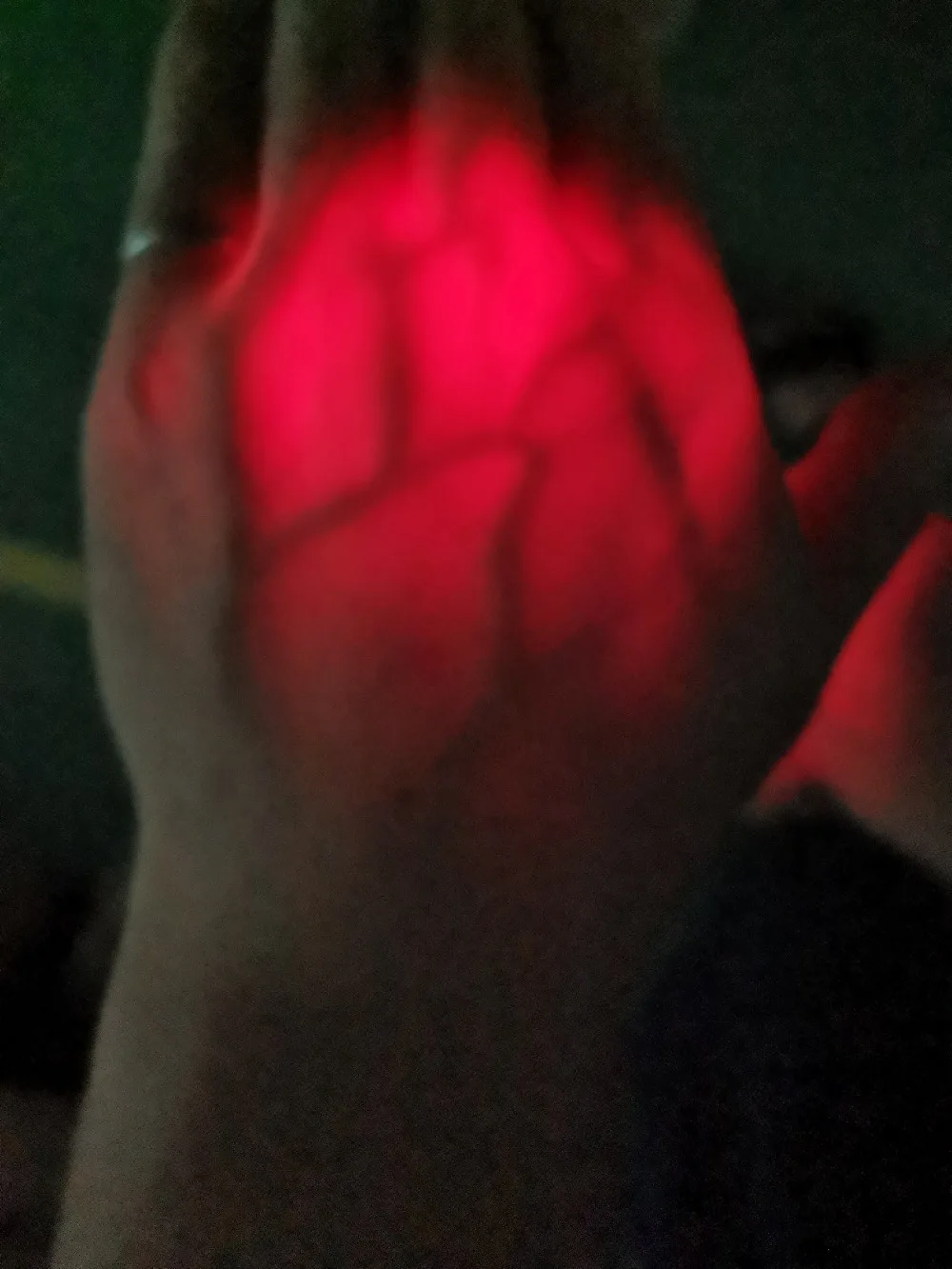 QQ图片20190620162854 (2)
