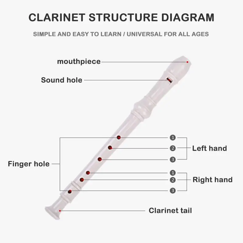 The Different Parts Of A Recorder Its Anatomy And Structure atelier