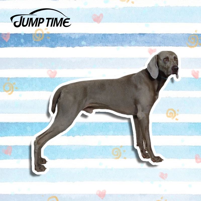 

Время скачка 13 см x 10,8 см, виниловая Автомобильная оболочка для домашних животных, водонепроницаемые Переводные картинки для ноутбука JDM, наклейки, 3D Стайлинг автомобиля