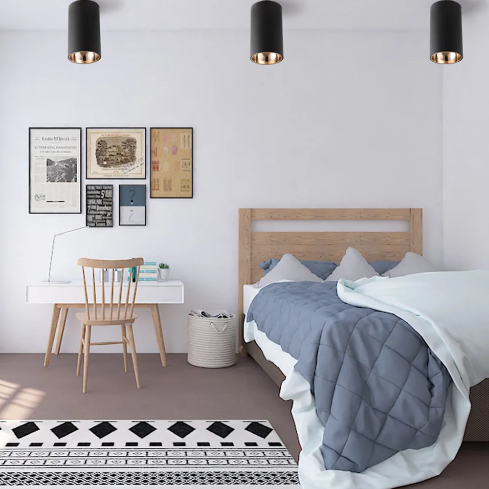 led downlights  (21)