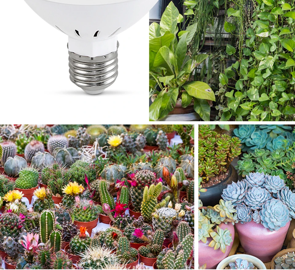 FOXGBF LED plant lamp cup E27 plant growth 220V 486080126200300 leds plant fill light Phyto Led Grow Bulb Red  Blue Spectrum (8)
