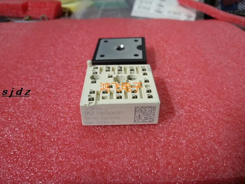 

SKIIP13NAB065V1 SKIIP 13NAB065V1 1pcs