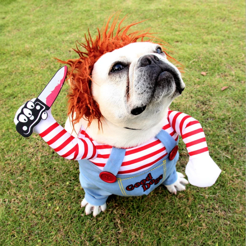 Pet köpek festivali kostüm ayarlanabilir komik Chucky cadılar bayramı noel  giysileri evcil hayvan kedi tutan bıçak Cosplay giyim - AliExpress