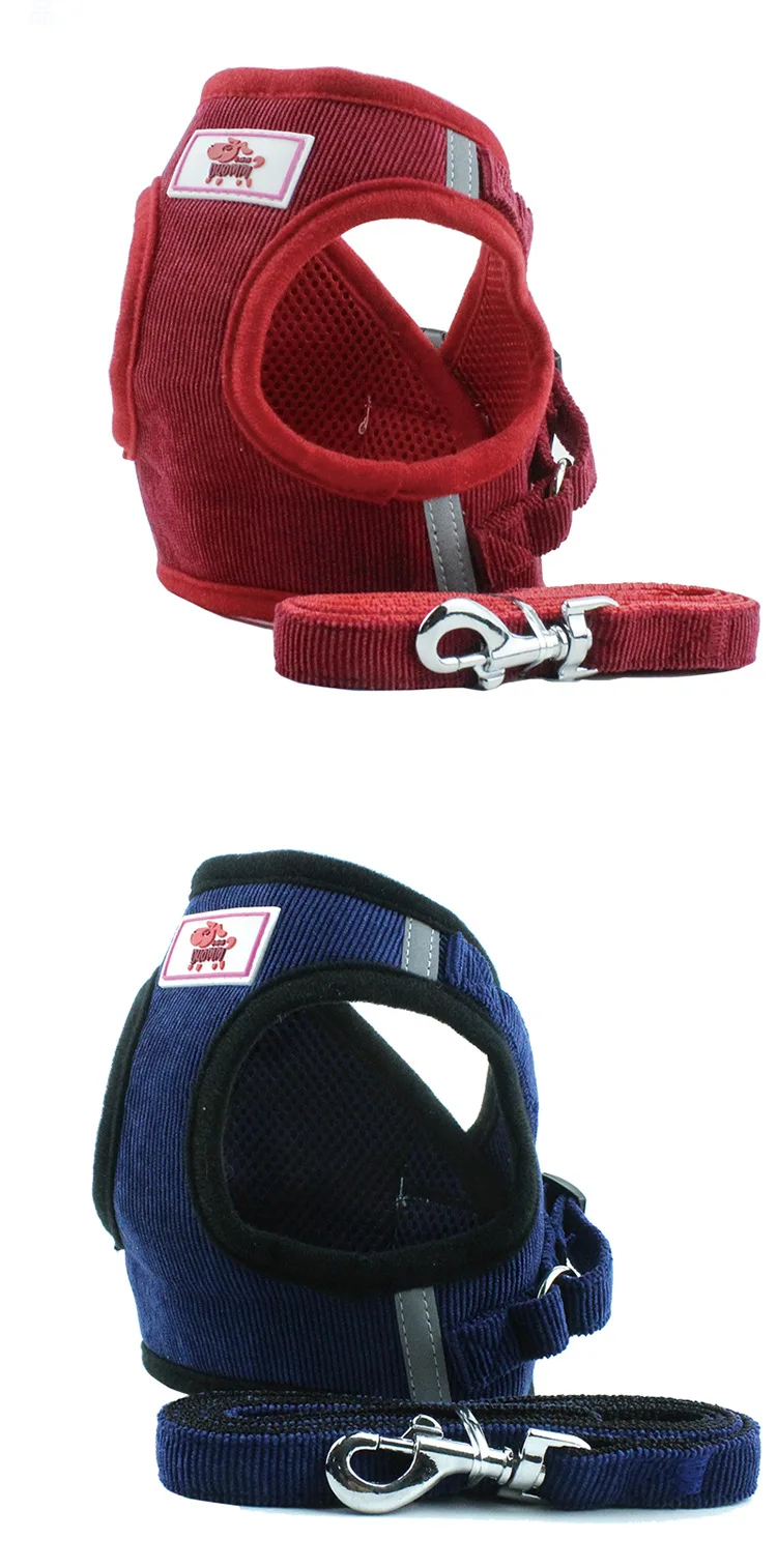 11113461601_609020808