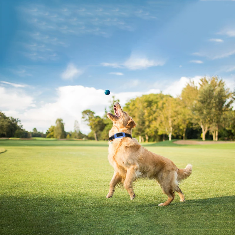 7729722460_210334506