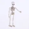 Mini Pose Skeleton Doll/Dog Joints Moveable Action Figure Collection Halloween Dollhouse Model Decorations Set for Friends 4