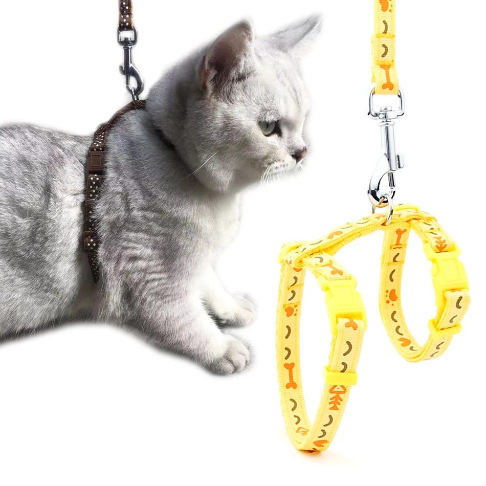 cat harness