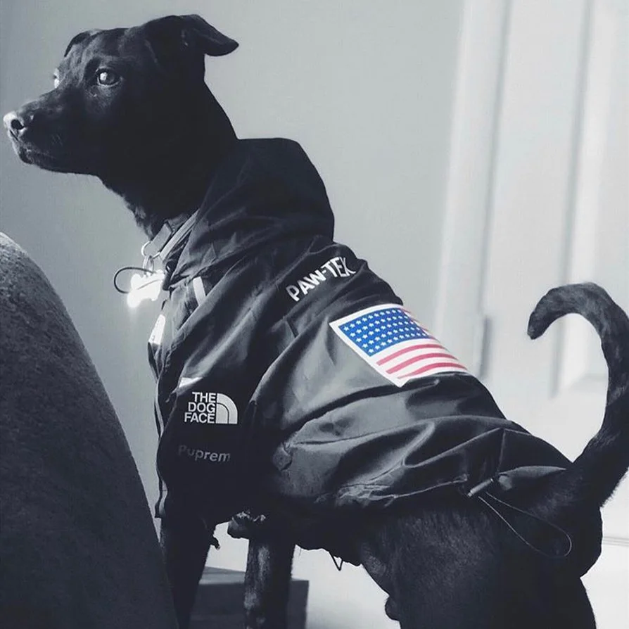 Tanie Zimowe ubrania dla psów moda odzież dla psów bluza z kapturem wiatrówka dla psa ubrania dla zwierząt koszula wiatroszczelna buldog francuski mops Chihuahua