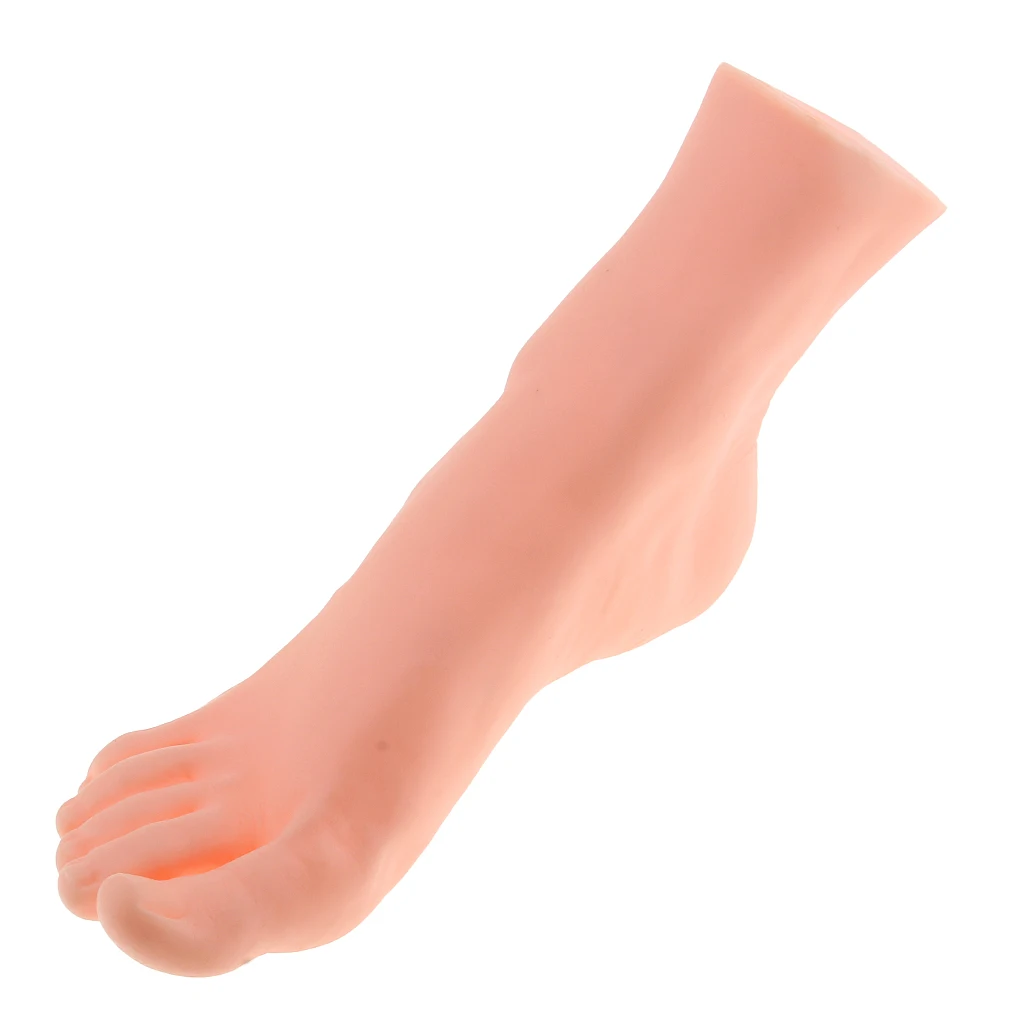 Rubber 23.5cm Right Foot Mannequin Model for Shoes Socks Ankle Chain Display