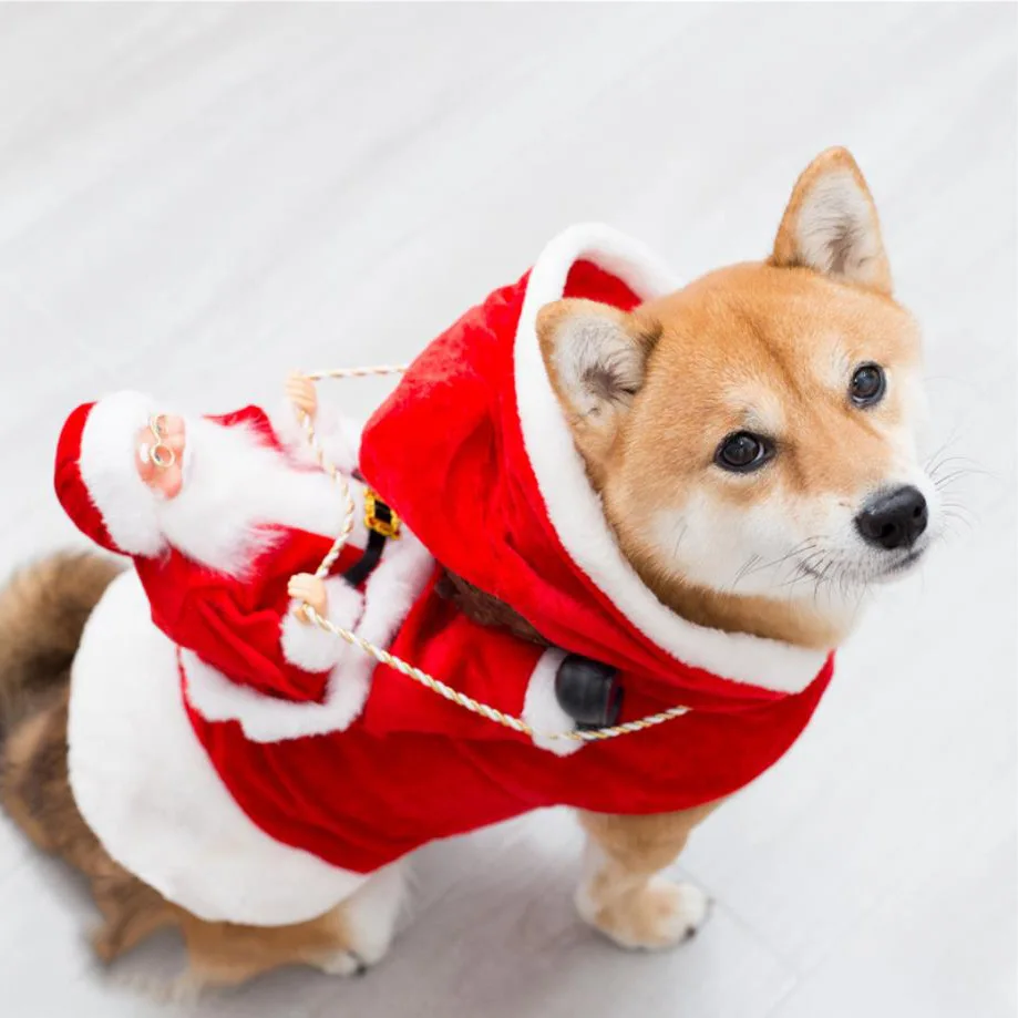 Ropa de Navidad para mascotas, disfraces de perro elfo verde para perros  pequeños, bonito disfraz de Papá Noel para montar en gato, cachorro -  AliExpress