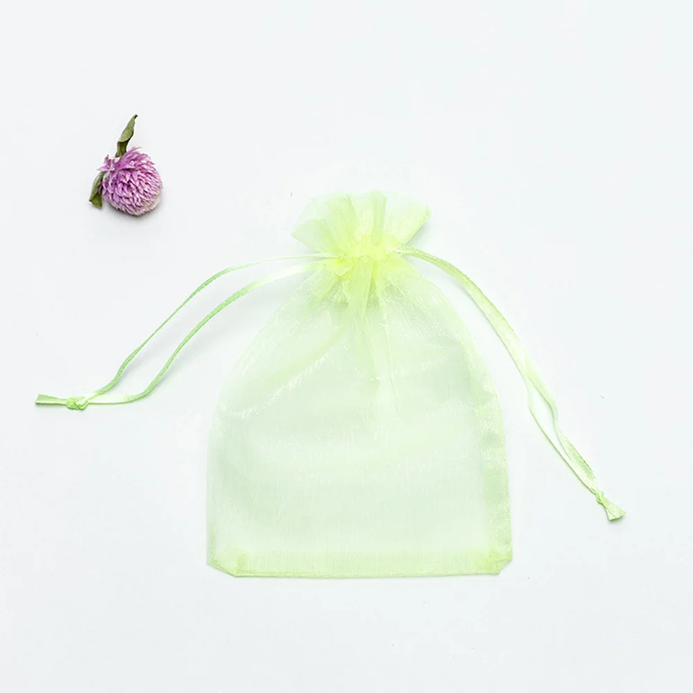 50PCS Garden Vegetables Fruit Grow Plants Protection Bags Anti-Bird Gardening Drawstring Netting Candy Grape Apple Mesh Pouch 