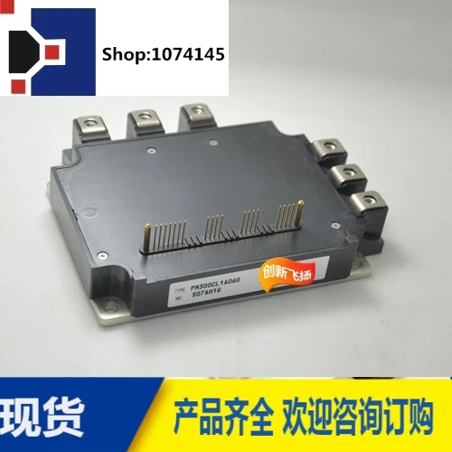 PM300CL1A060/