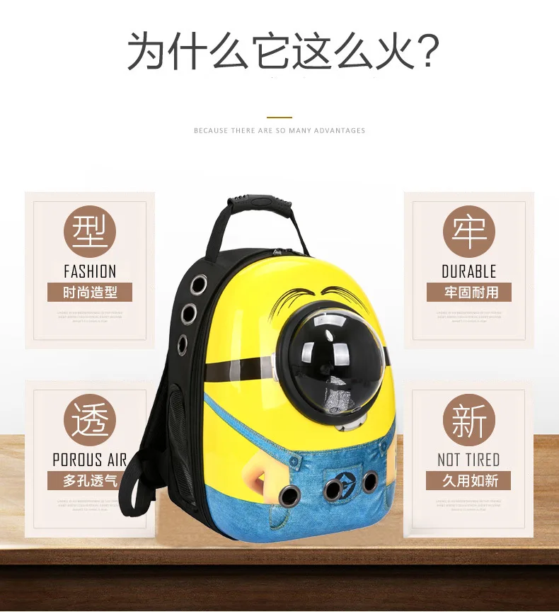 10629094217_345777210