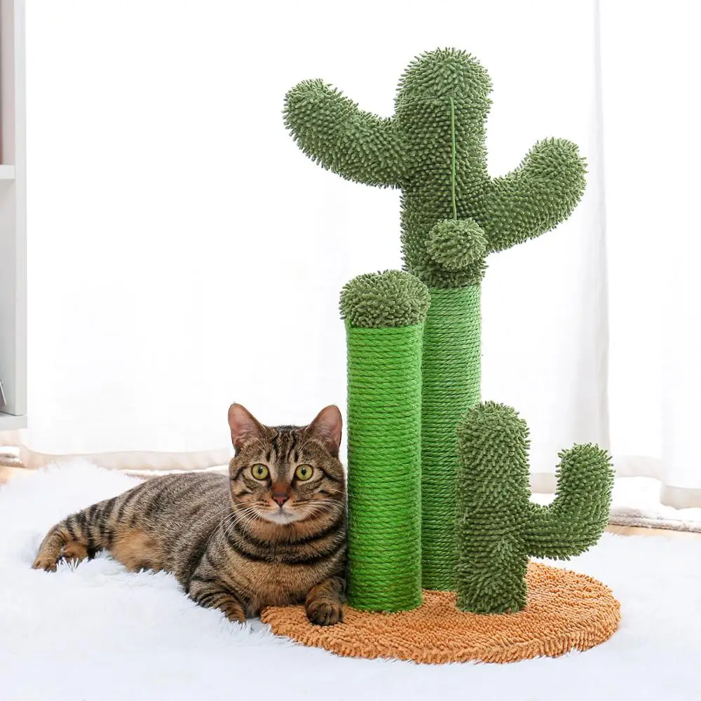 cat cactus scratcher