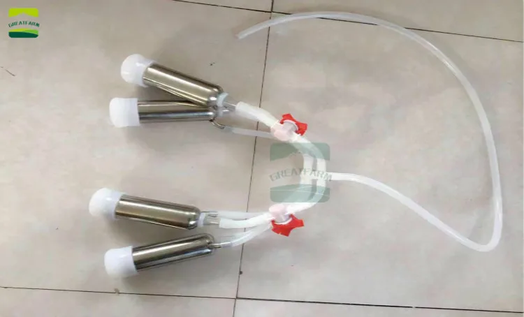 微信图片_20190823102752_meitu_7