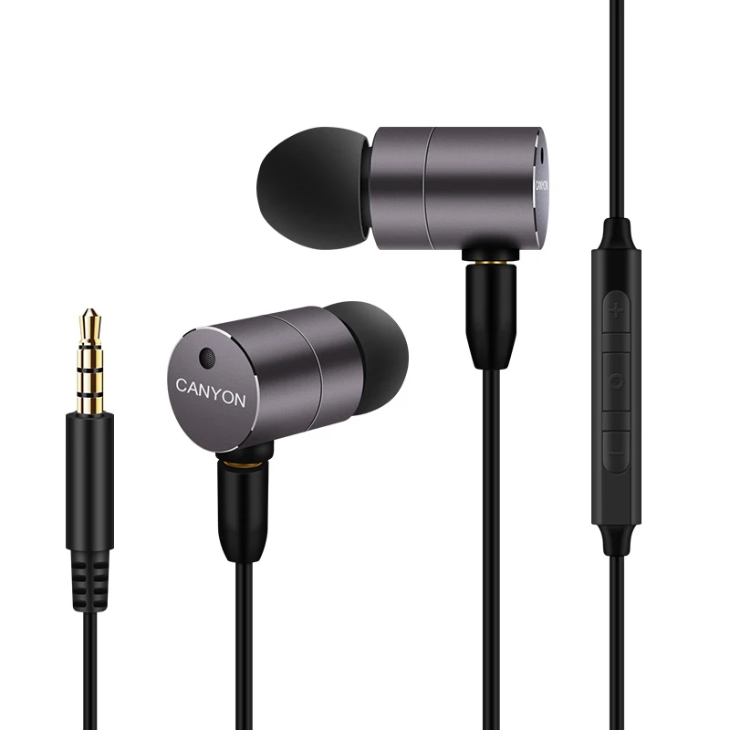HIFI In Ear Earphones With MMCX Upgrade Detachable Type C Cable Noise Cancelling Heavy Bass Headphone With Mic