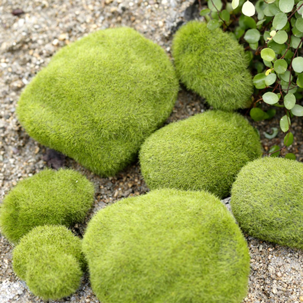 

8pcs Artificial Fresh Moss Ball Fairy Garden Miniatures Decoration DIY Mini Green Plant Poted Bonsai Crafts Ornament Supplies P2