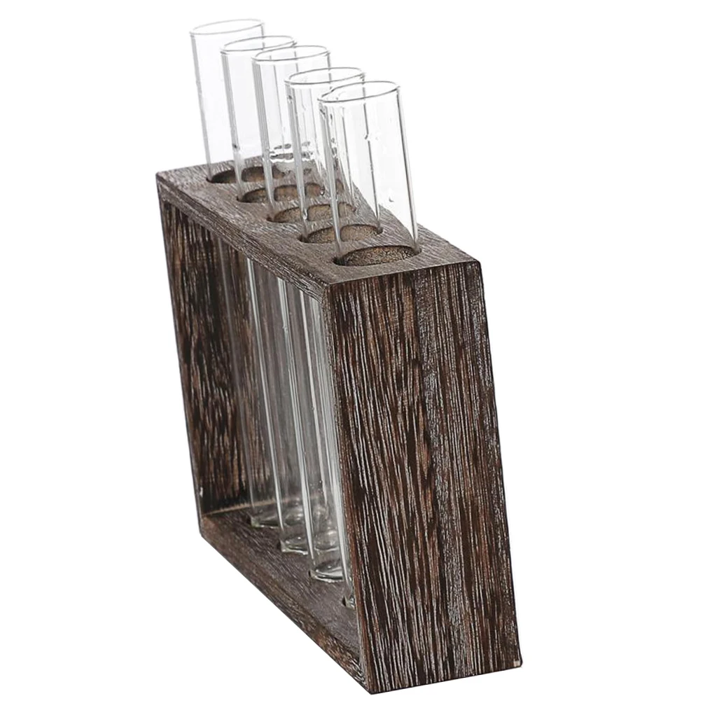 Clear Glass Tube Planter Vase with Vintage Wood Stand Holder for Plants Home